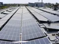 Duże połacie paneli fotowoltaicznych na dachu budynku. To przyszłość energetyki, nawet w bloku!