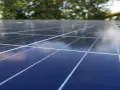 Zbliżenie na panele fotowoltaiczne, które zamieniają światło słoneczne w energię. W tle drzewa i most.