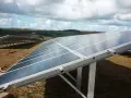 Panele słoneczne na farmie wiatrowej. Optymalizator Tigo zapewnia wydajność systemu, maksymalizując produkcję energii.