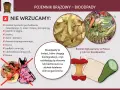 Co to bioodpady? Obrazek pokazuje, czego nie wrzucać do brązowego pojemnika: resztki zwierzęce, popiół, piasek, ziemię, drewno, trociny, padłe zwierzęta, odchody i tkaniny.