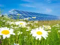 Łąka pełna stokrotek na tle rzędu paneli słonecznych. Wady i zalety odnawialnych źródeł energii w harmonii z naturą.