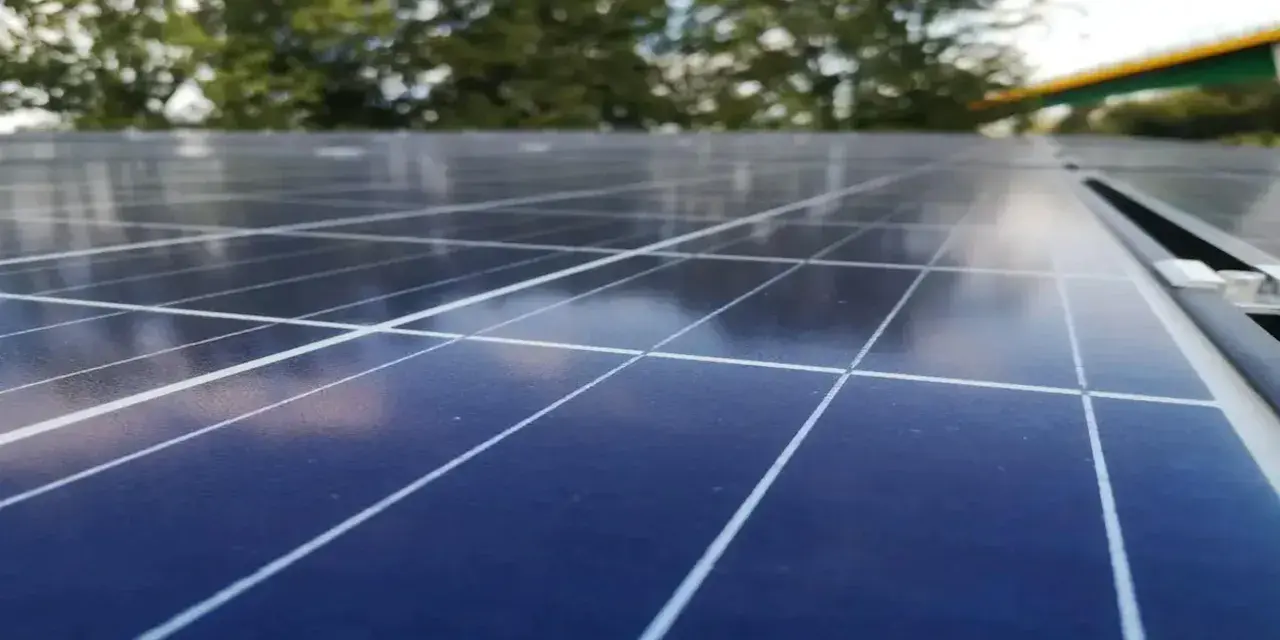 Zbliżenie na panele fotowoltaiczne, które zamieniają światło słoneczne w energię. W tle drzewa i most.