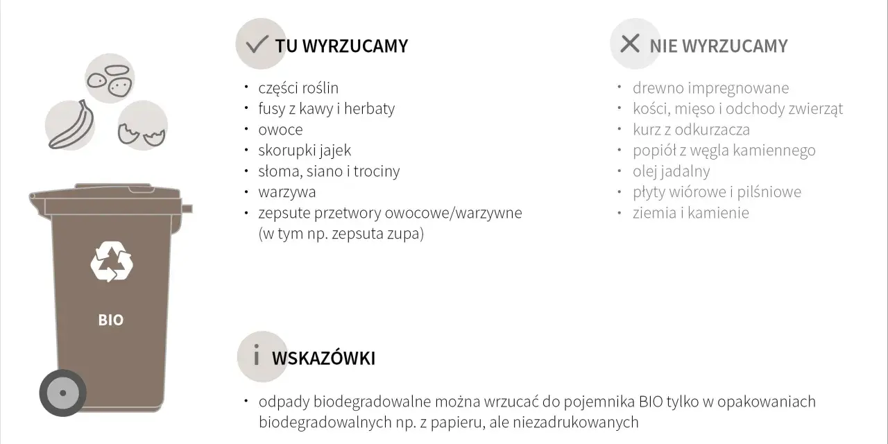 Zasady segregacji odpadów BIO: tu wyrzucamy części roślin, owoce, warzywa. Nie wyrzucamy drewna, kości, kurzu. Pamiętaj o opakowaniach biodegradowalnych.