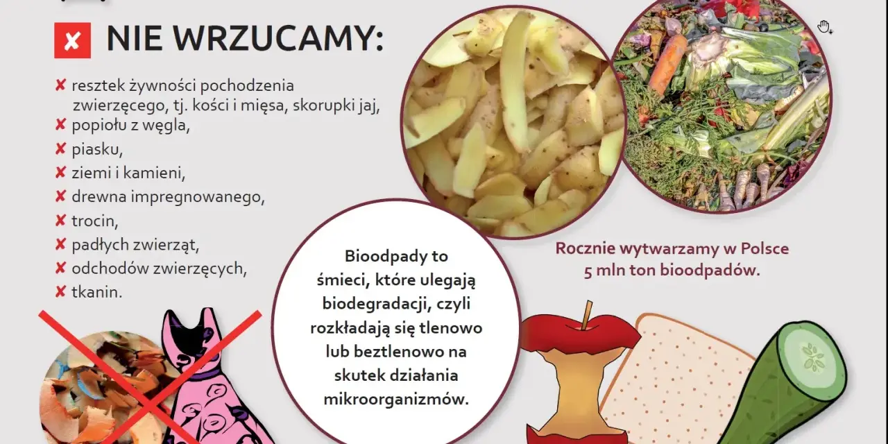 Co to bioodpady? Obrazek pokazuje, czego nie wrzucać do brązowego pojemnika: resztki zwierzęce, popiół, piasek, ziemię, drewno, trociny, padłe zwierzęta, odchody i tkaniny.