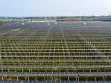 Ogromne połacie paneli fotowoltaicznych, część rozbudowy instalacji Tauron, na tle miejskiej zabudowy.