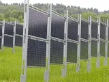 Rzędy wydajnych paneli fotowoltaicznych na tle zielonego lasu. Instalacja na łące, gotowa do produkcji czystej energii.