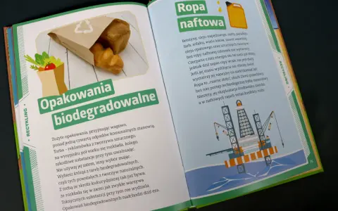 Opakowania biodegradowalne, czyli jak to działa? Torba z tworzywa rozkłada się wieki, uwalniając szkodliwe substancje. Wybieraj te z naturalnych tworzyw, jak skrobia kukurydziana.