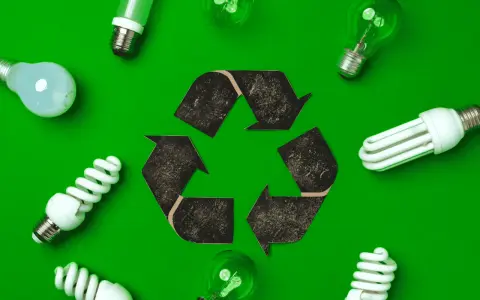 Symbol recyklingu otoczony różnymi rodzajami żarówek. Pamiętaj, gdzie wyrzucać baterie i żarówki, by dbać o planetę.