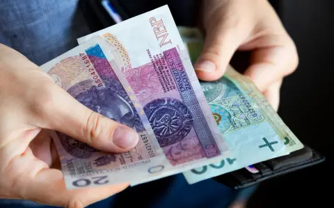 Dłonie trzymają polskie banknoty 20 zł i 100 zł, gotowe do zapłaty. Może to być część wypłaty ryczałtu energetycznego.