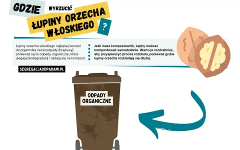 Łupiny orzecha włoskiego wrzuć do brązowego pojemnika na bioodpady. Możesz też kompostować je samodzielnie, jeśli masz kompostownik.