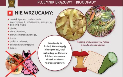 Co to bioodpady? Obrazek pokazuje, czego nie wrzucać do brązowego pojemnika: resztki zwierzęce, popiół, piasek, ziemię, drewno, trociny, padłe zwierzęta, odchody i tkaniny.