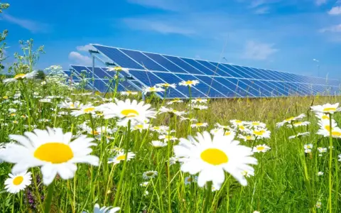 Łąka pełna stokrotek na tle rzędu paneli słonecznych. Wady i zalety odnawialnych źródeł energii w harmonii z naturą.