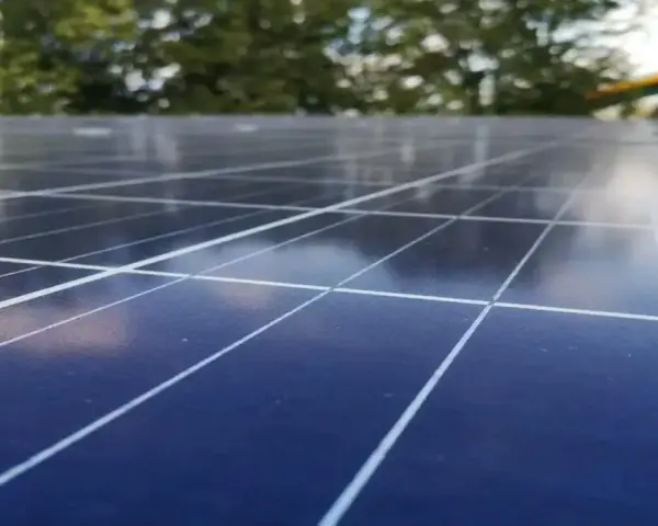 Zbliżenie na panele fotowoltaiczne, które zamieniają światło słoneczne w energię. W tle drzewa i most.
