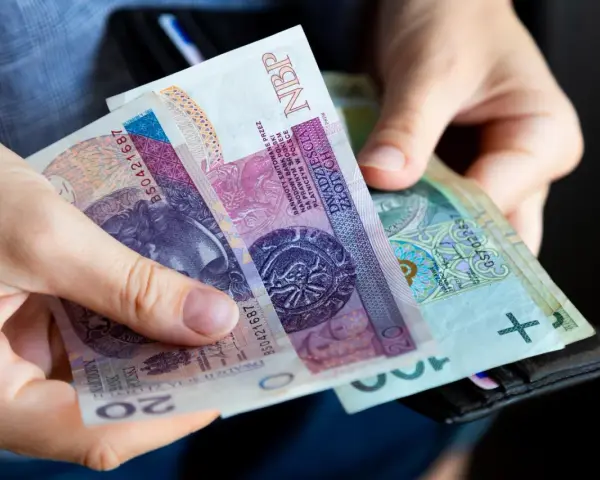 Dłonie trzymają polskie banknoty 20 zł i 100 zł, gotowe do zapłaty. Może to być część wypłaty ryczałtu energetycznego.