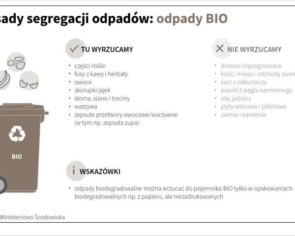Zasady segregacji odpadów BIO: tu wyrzucamy części roślin, owoce, warzywa. Nie wyrzucamy drewna, kości, kurzu. Pamiętaj o opakowaniach biodegradowalnych.