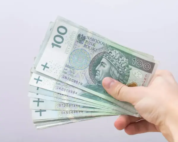 Dłoń trzyma stos banknotów 100 zł. Czy to zapowiedź bonu energetycznego dla każdego?