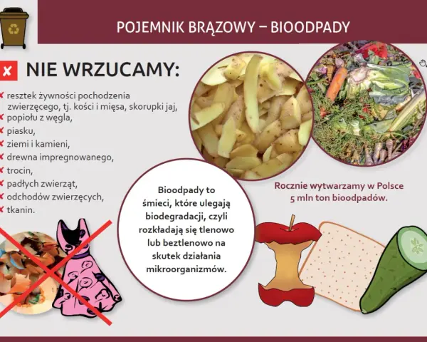Co to bioodpady? Obrazek pokazuje, czego nie wrzucać do brązowego pojemnika: resztki zwierzęce, popiół, piasek, ziemię, drewno, trociny, padłe zwierzęta, odchody i tkaniny.
