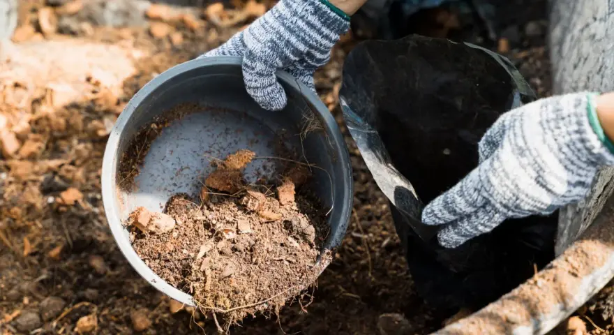 Ręce w rękawiczkach przesypują ziemię z doniczki do kompostownika. Czy kompostownik śmierdzi? Nie, pachnie ziemią i rozkładającymi się resztkami.