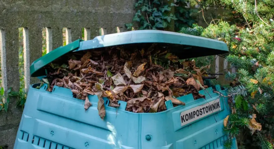 Kompostownik pełen suchych liści, pokazujący, co można zrobić z liści jesienią – stworzyć cenny nawóz.