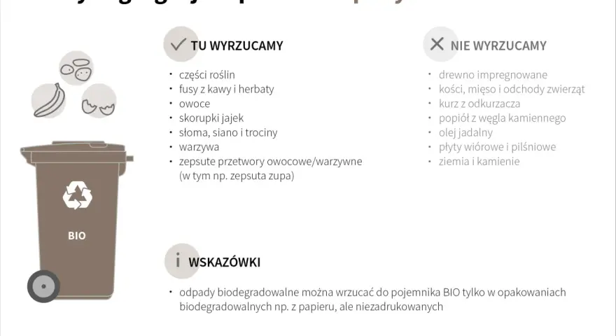 Zasady segregacji odpadów BIO: tu wyrzucamy części roślin, owoce, warzywa. Nie wyrzucamy drewna, kości, kurzu. Pamiętaj o opakowaniach biodegradowalnych.